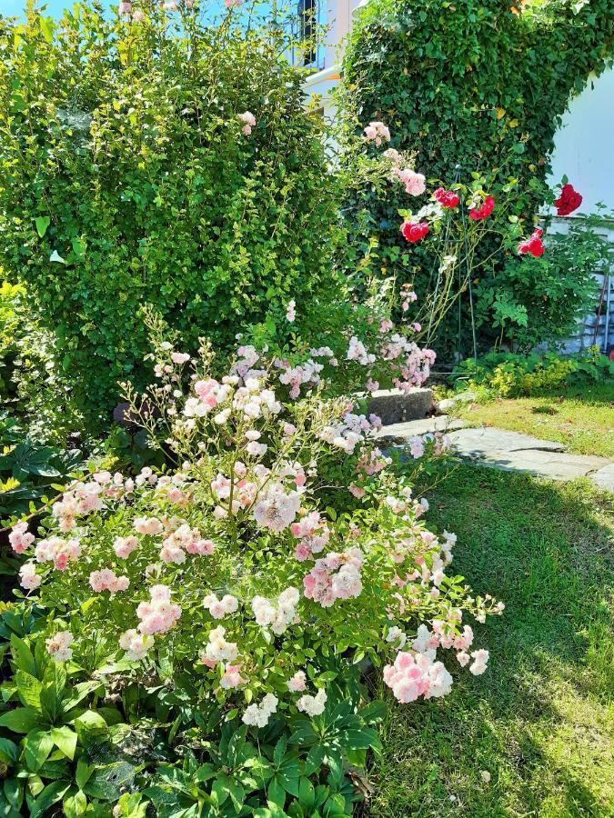 Hotel/Pension Rosengarten Franking ภายนอก รูปภาพ