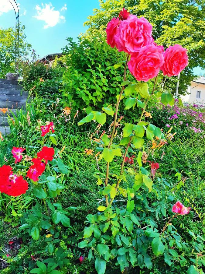 Hotel/Pension Rosengarten Franking ภายนอก รูปภาพ